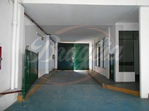 Venta Local Comercial 5 Ambientes La Blanqueada Braglia 886t