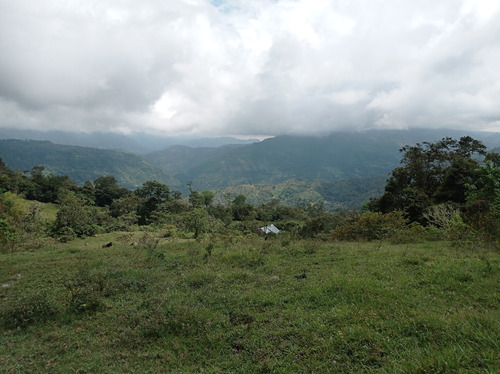 En Venta Maravillosa Finca En Viani, Cundinamarca