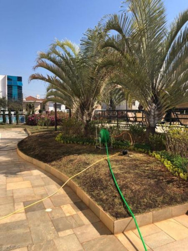 Imagem 16 de 20 de Apartamento Residencial Para Venda - Ap01475 - 67803873