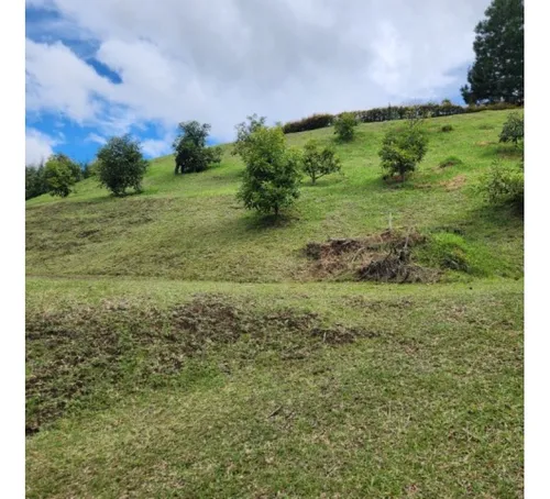 Rhbr-14708 (lote) (el Retiro)