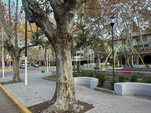 Local Sobre Boulevard San Martín En Plaza Plate