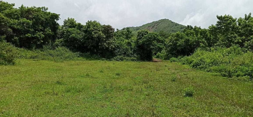 Imagen 4 de 8 de Terreno En Venta En Morelos
