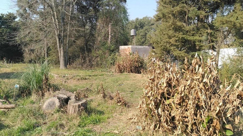 Imagen 10 de 16 de Terrenos/fracciones/loteos - Terrenos - Benavídez, Gran Bs.