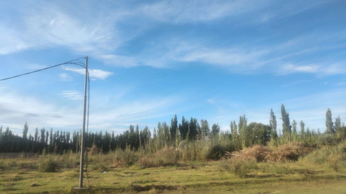 Terreno En Fideicomiso Cinco Saltos