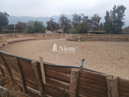 Agrícola En Arriendo En Limache