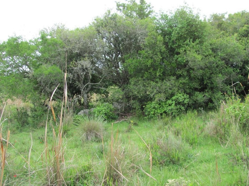 Imagen 10 de 11 de Chacra En Aiguá, Maldonado