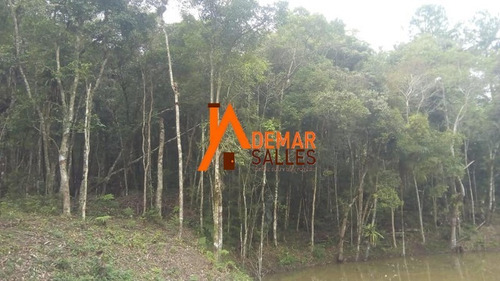 Terreno - Te00033 - 68539767