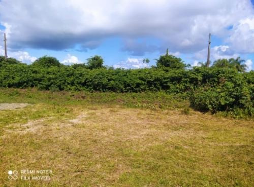 Imagem 2 de 9 de Terreno Lado Praia Á 400 Metros Do Mar Itanhaém Litoral 8048