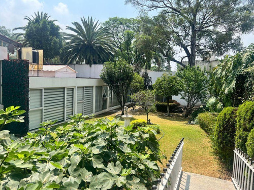 Magnifico Terreno