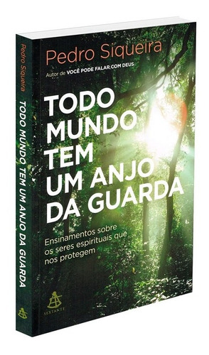 Todo mundo tem um anjo da guarda, de Pedro Siqueira. Editora Sextante, capa mole, edição 2016 em português, 2019
