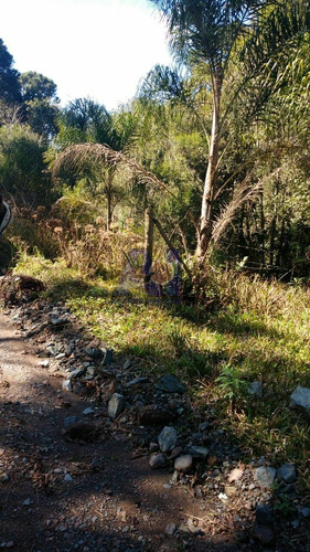 Imagem 6 de 10 de Chácara À Venda Na Avenquinha - Campo Alegre/sc - 106