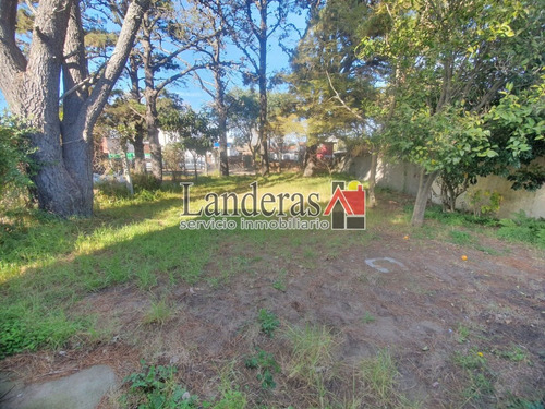Imagen 20 de 20 de Casa 3 Amb. - Sobre Lote Propio De 10 X 30