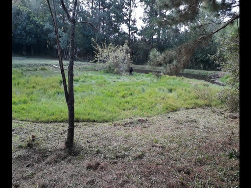 Chácara 5.000 M² - Morungava - Gravataí - Rs - 1916 - 32875112