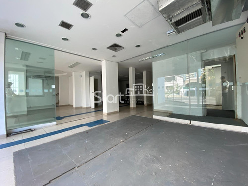 Imagem 5 de 16 de Casa Para Aluguel Em Cambuí - Ca008320
