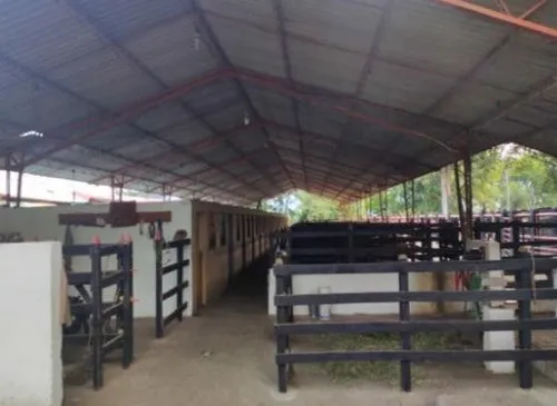 Finca En Venta En La Pintada. Cod V11961