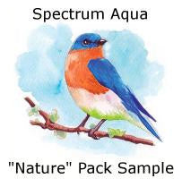 Marcadores Spectrum Noir Artista Acuarelables Color Naturale