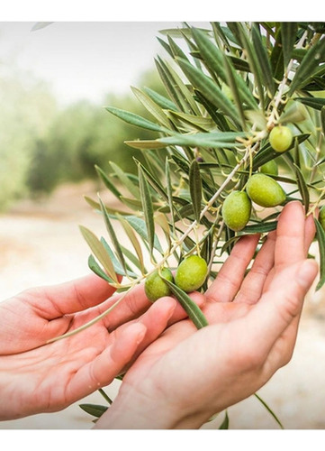 2 Azeites De Oliva Extra Virgem Tunisiano Rahma 1l