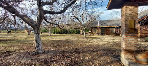 Imagen 23 de 25 de Arriendo Casa Amplia En Sector Campestre