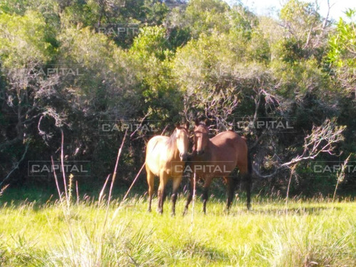 Excelente Campo En Ruta 13 - Venta- Ref: 28880