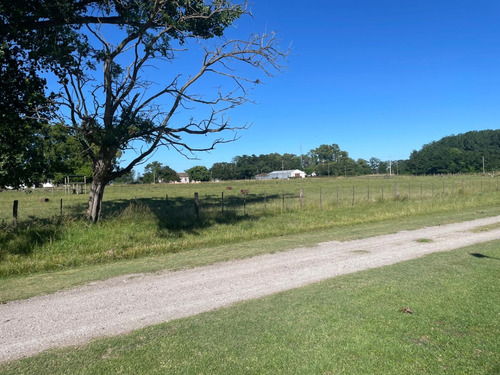 Chacras En Venta De 3 Hectáreas, Zona Rural.