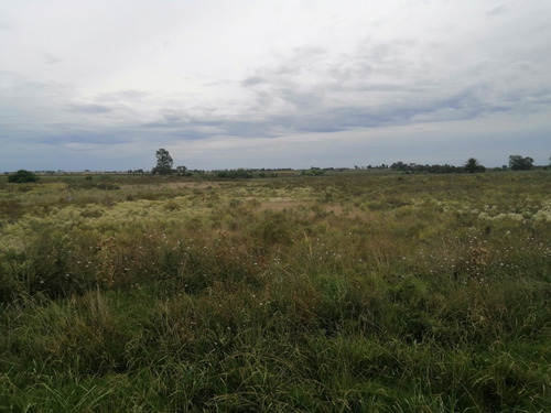 Imagen 11 de 12 de Chacra A La Venta - A 2 Km De San Antonio - 5 Hás