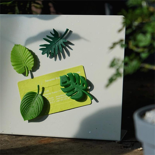 Imanes Leaf Fridges, Miniimanes Para Nevera, Bonito Magnet S