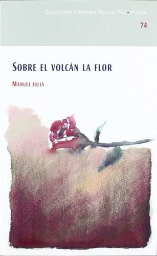 Libro Sobre El Volcán La Flor