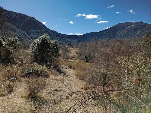 Venta Parcela Panqui (174090)