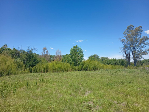 Terreno En Barranca De La Rivera - Zona Norte