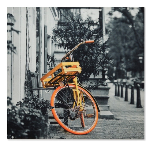 Cuadro Decorativo Bicicleta L