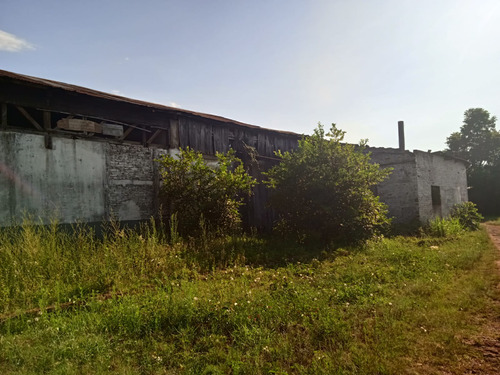 Imagen 6 de 9 de Propiedad De 4.400 M2 Con Galpon De 14 X 50.
