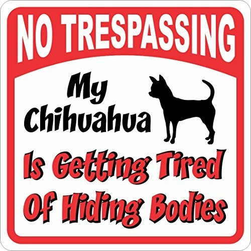 Chihuahua Muestra - Prohibido El Paso Cansado De Cuerpos De 