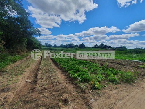 Imagem 3 de 3 de Terreno, 295296.43 M², Rubem Berta - 202672