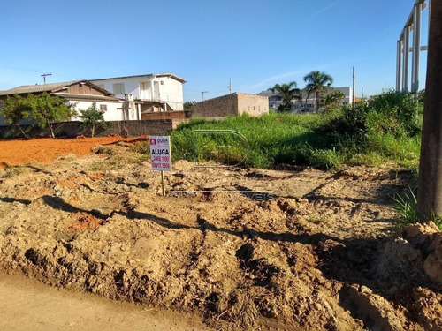 Imagem 1 de 4 de Terreno - Zona Sul - Ref: 28512 - L-28510