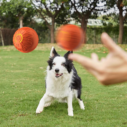 Pelota De Juguete Para Perros En Movimiento Automático Pelot
