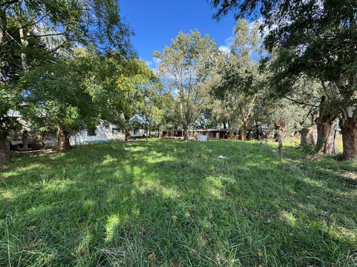 Campo De 30 Hectáreas Con Múltiples Edificaciones Y Uso Mixto