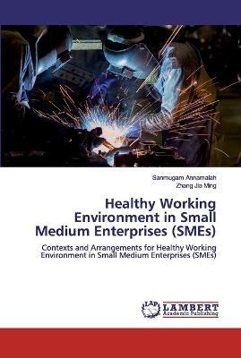 Libro Healthy Working Environment In Small Medium Enterpr...