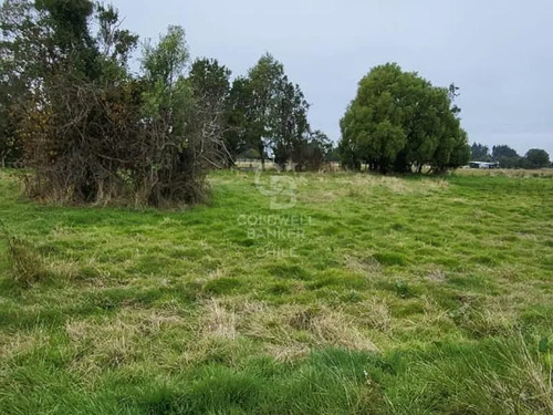Parcela En Frutillar: Naturaleza Y Conectividad