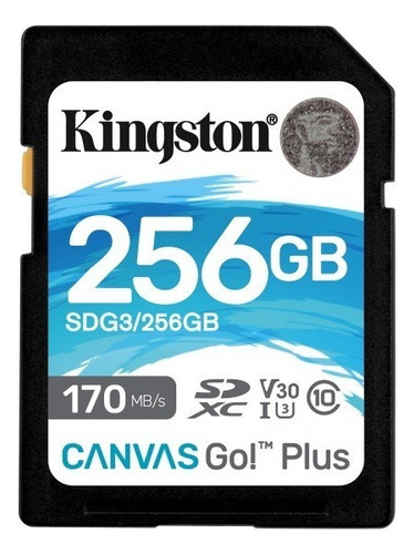 Memoria Kingston Sd 256gb 170mb/s V30 Canvas Go Plus
