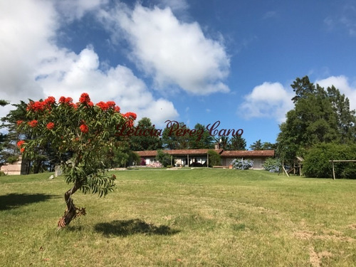 Venta Chacra En Ruta 39 De 9 Has - Ref: 19263