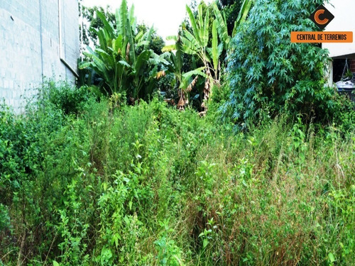Imagem 15 de 15 de Terreno Próximo Ao Bosque Da Paz - Te00443 - 69487473
