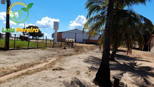 Imagem 14 de 15 de Fazenda À Venda Em Divinópolis - To - De 1.476 Hectares - 1747