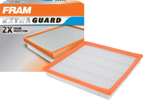 Filtro Aire Panel Proteccion Ca10989 Fram