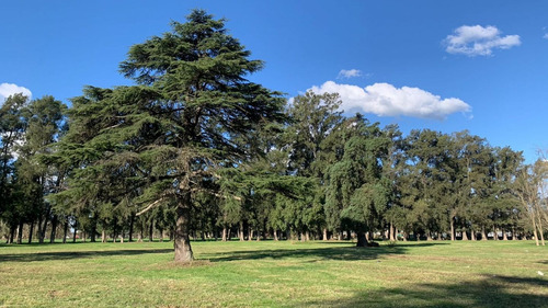 Imagen 9 de 14 de Terreno En Venta En Alejandro Petión