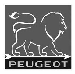 Imagen 3 de 3 de Champañera Platinum Peugeot