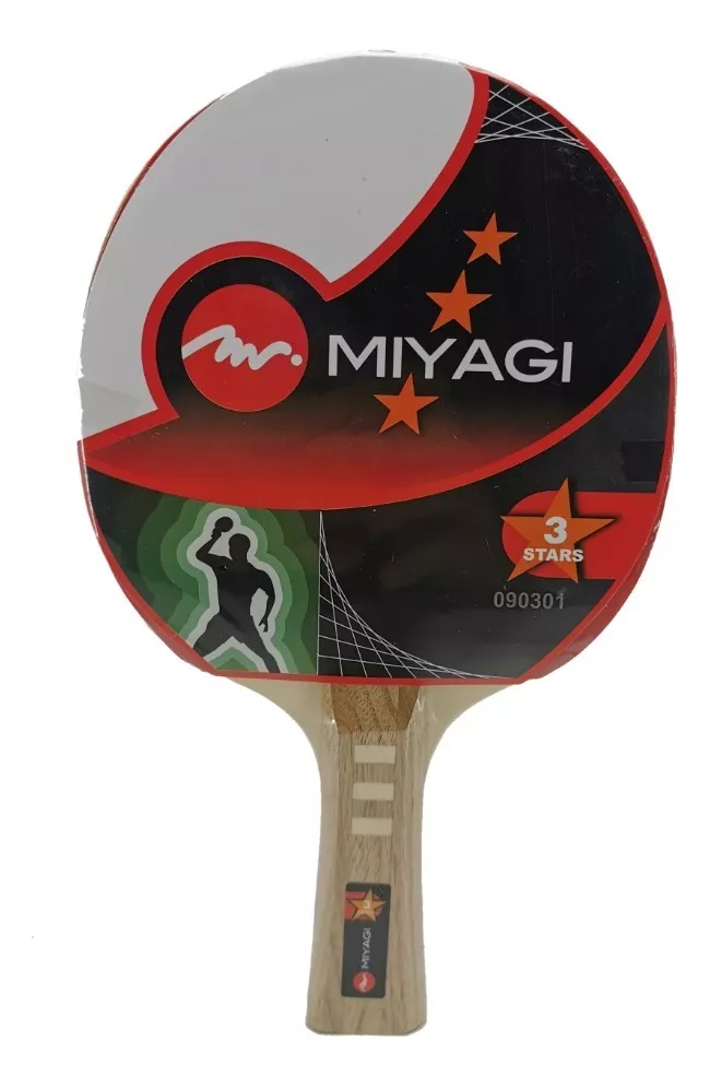 Tercera imagen para búsqueda de raqueta ping pong