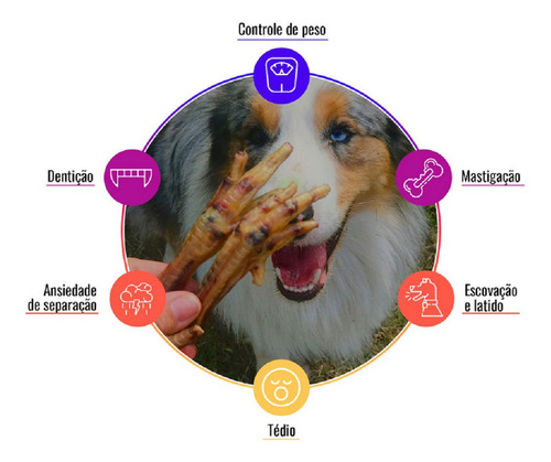 Imagem 3 de 3 de Mordedor Natural Cães Goodlovin Orelha Boi C/ Ouvido Jumbo