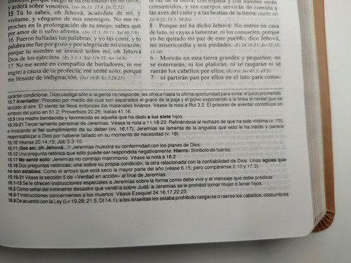 Imagen 10 de 10 de Biblia De Estudio Plenitud Rvr60 Manual Imit. Piel Terracota