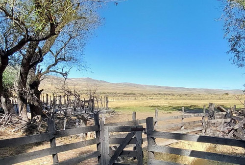 Imagen 28 de 30 de Campo En Venta De 14.000 Has En Neuquen Patagonia Argentina - Estancia Ganadera