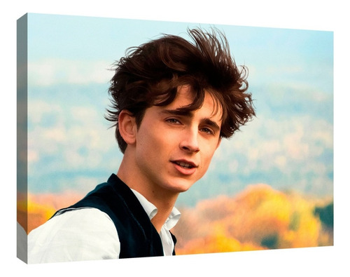 Cuadro Canvas Moderno Timothée Chalamet Color Natural Armazón Timothée Chalamet 1